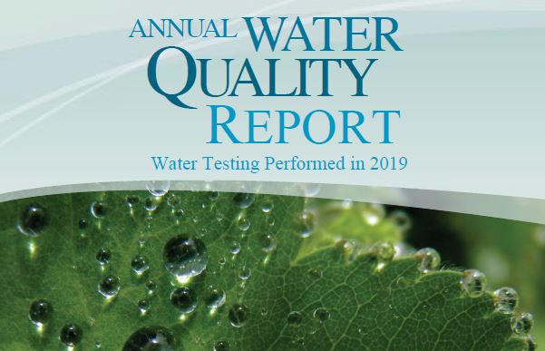 Annual Water Report 2019