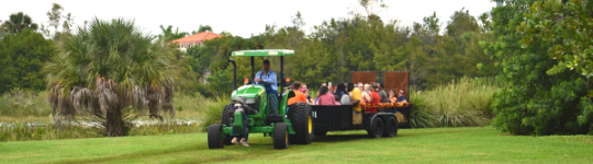 Tractor Ride