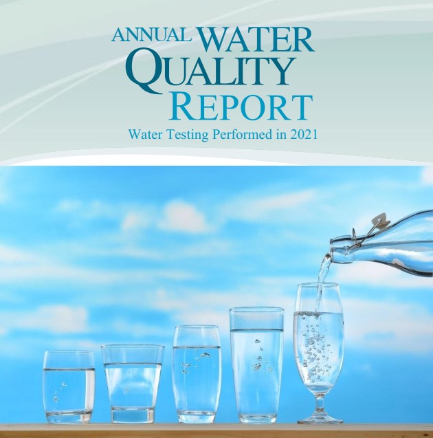 Annual Water Quality Report 2021