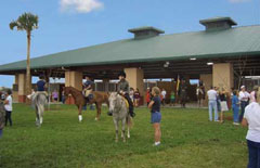 equestrian center