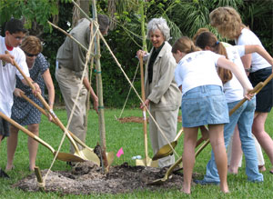 Mayor planting trees